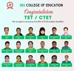 qualified tet-ctet (3)
