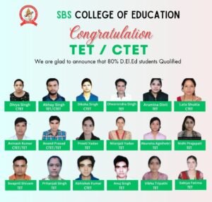 qualified tet-ctet (4)